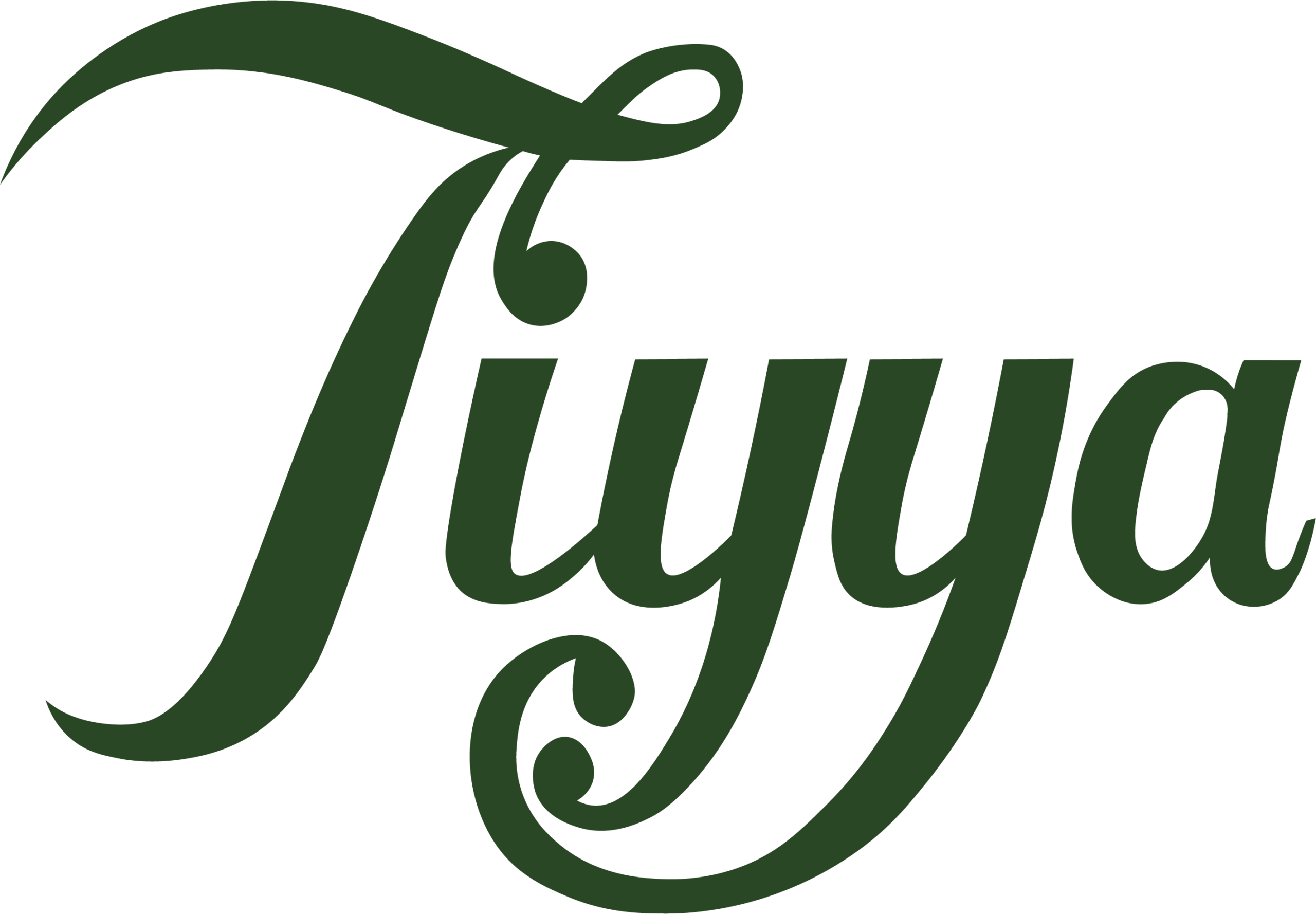 Tiyya Foundation